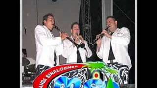 ayer la vi por la calle- banda ms