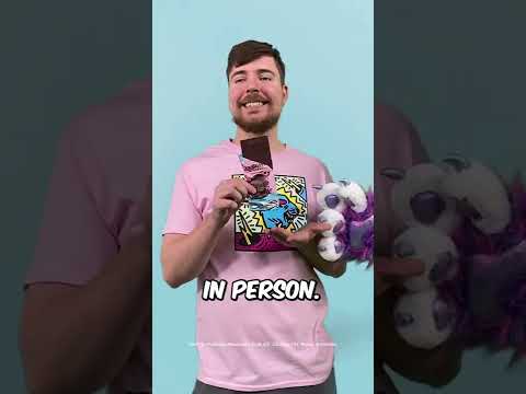 #MrBeastShortsGiveaway  | I Will Fly You to VidCon