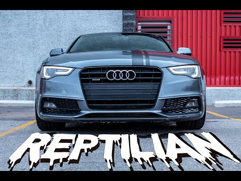 Audi A5 SLine 2012 | CUU | REPTILIAN