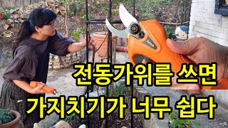 이제 힘들게 가지치기 하지 마세요. 여러분의 손은 소중합니다.