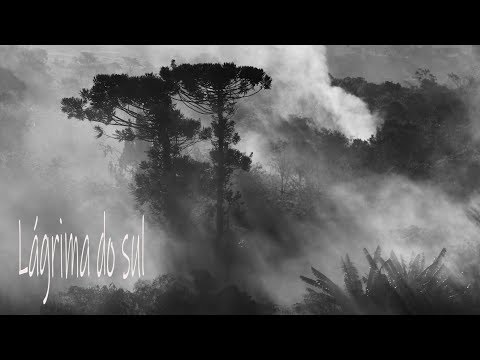 Lágrima do Sul - Grupo Caravançará