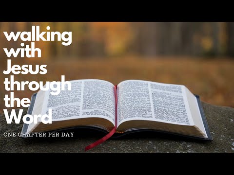 WalkDevo#361 - 2 Timothy 4 Devotional