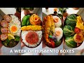 A Week Of Husband Lunch Boxes 48 Izakaya Night At Home