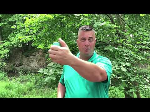 Pepper Spray from Mace® Brand Kuros Pocket Style