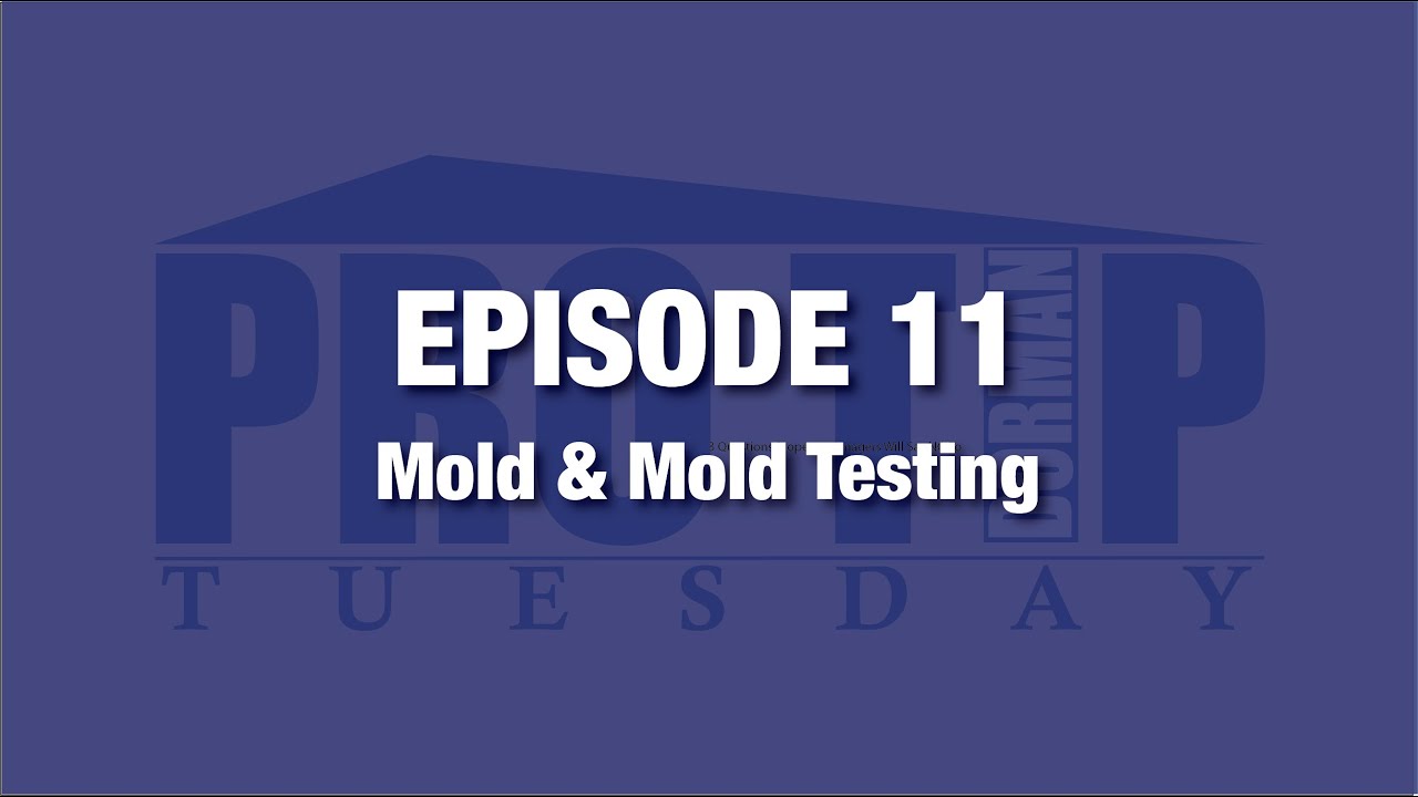 <![CDATA[Episode 11: Mold & Mold Testing]]>