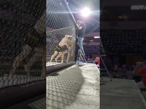 Ashton Kirby MMA fight