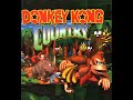 10 HOURS Of Cave Dweller Donkey Kong Country SNES
