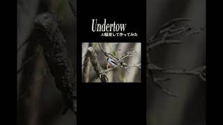 「Undertow」という曲のMVをAI駆使して作ってみた
