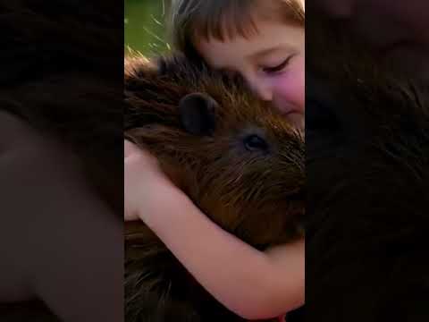 # ai video generate #music #song # pratyaksha #Anvita