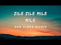 Zile Zile Mile Mile TikTok Remix Song Matteo Panama