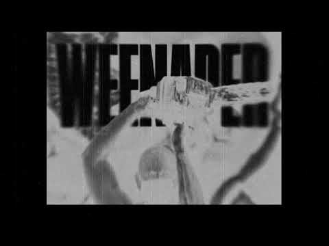 WEENAPER - ONE MAN ARMY/ONE REPUBLIC (OFFICIAL AUDIO)