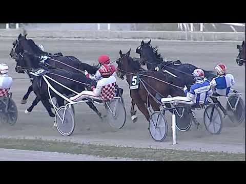 Napoli Trotto 17/02/2023 - 5ª corsa