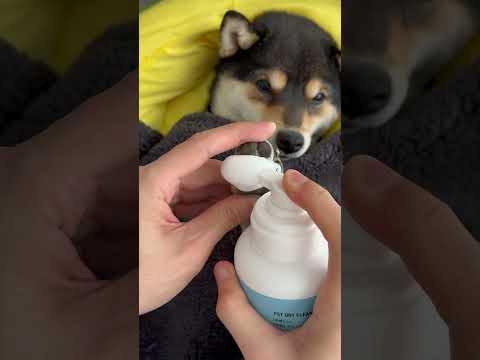 【ASMR】Manyu's Immersive Weekly Full-Body Cleaning SPA