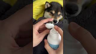 Download lagu 【ASMR】Manyu's Immersive Weekly Full-Body Cleaning SPA mp3