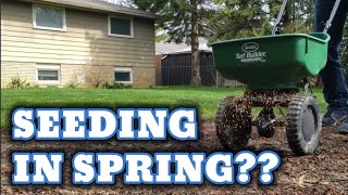 Seed your Lawn in the Spring?? Watch this FIRST!! // Do this...Don