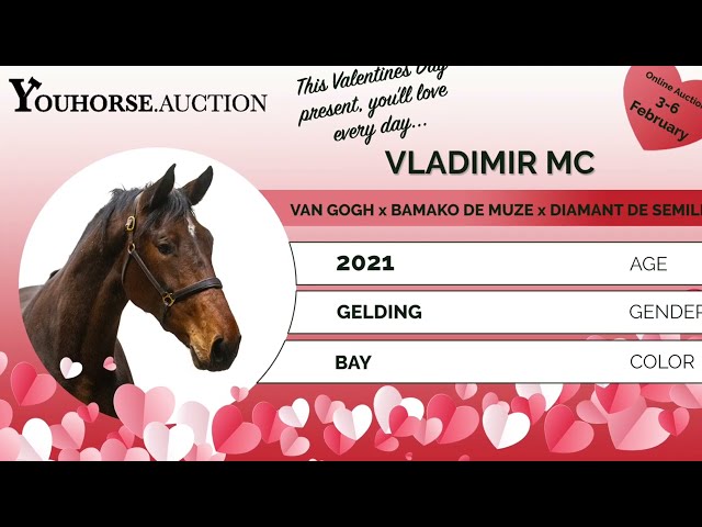 Vladimir