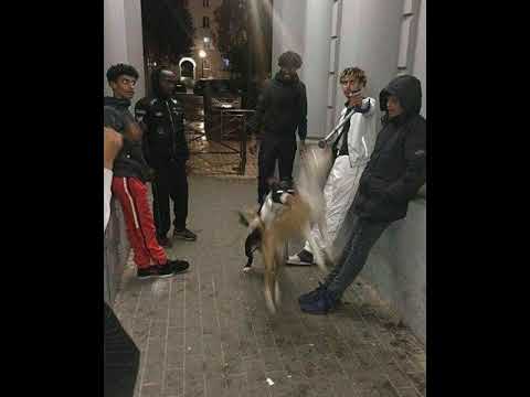 [FREE] J2LASTEU X 65 GOONZ X LUCIO101 TYPE BEAT - "BIG" PROD.CARLIT030 X YNM X DUCE