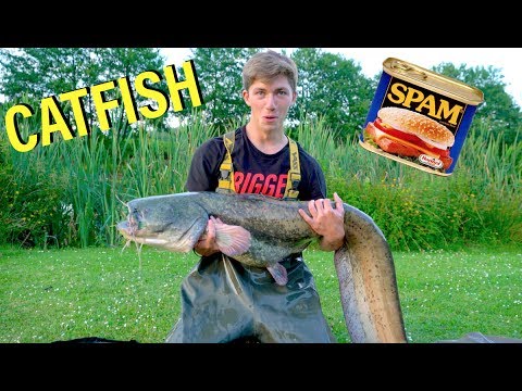 download lagu mp3 mp4 Spam B, download lagu Spam B gratis, unduh video klip Spam B