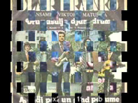 BRACA MATUSIC I BRANKO OLAR_0001.wmv