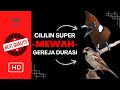 MEWAH ️CILILIN SUPER GEREJA DURASI ️ JEDA SANGAT PAS