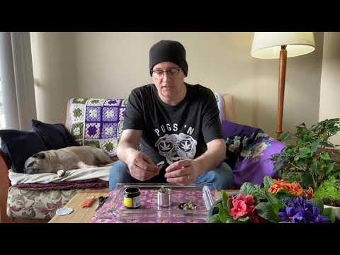 The Glueberry OG by Indiva