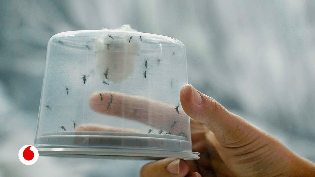 Los repelentes de mosquitos que realmente funcionan