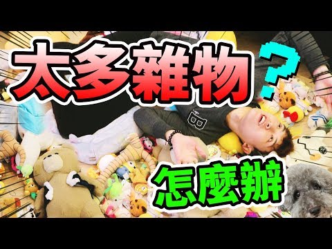 家裡娃娃太多怎麼辦