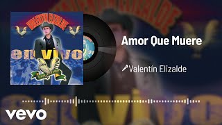 Valentín Elizalde - Amor Que Muere (Audio/En Vivo)