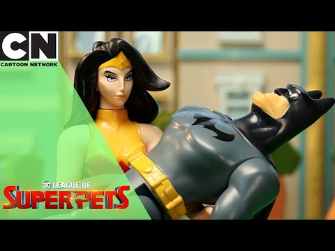 DC League of Super-Pets | Attack at the Dog Park: Toy Box Adventures | Cartoon Network UK