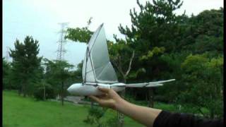preview picture of video 'Swift F7 : Test Flight 4 in the  wind 4-6.7m/sec.'