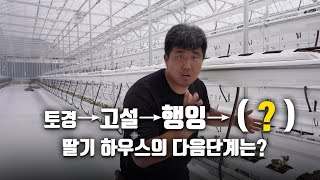 계속해서 발전해 온 딸기하우스 시설, 앞으론 "이것"이 자리잡지 않을까요? / 2단 행잉배드의 가능성! / …