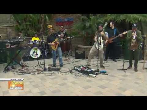 Strictly Skunk performs live!