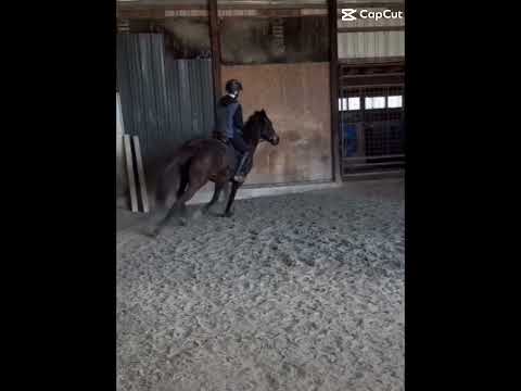 Transition was iffy but okay 👍🏻