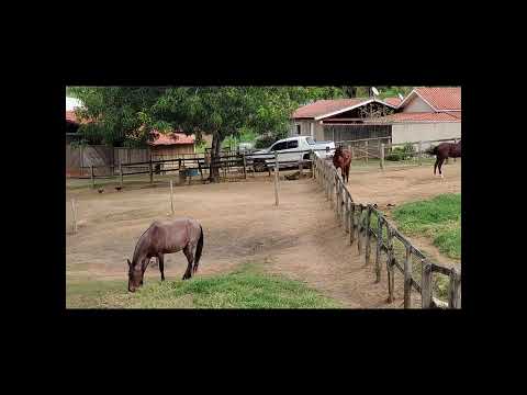 Pedra Bela Cidade Linda do Interior de São Paulo