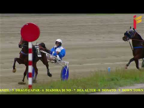 III corsa del 19 novembre 2022 - 3 Anni - Metri 1600