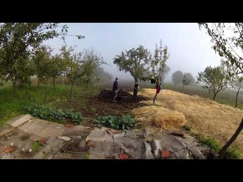 Egy mélymulcsos kert születése - első kísérlet