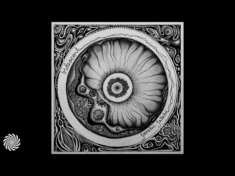 Farebi Jalebi - King Of The Trees