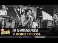 The Devil Wears Prada - Born to Lose (Live 2014 Vans Warped Tour)