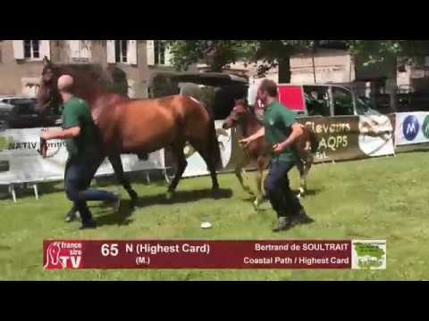 Sprinter Sacré Show 2018 : Lot 65 - N (Highest Card)