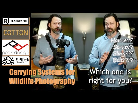 Carrying Your Wildlife Photography Gear