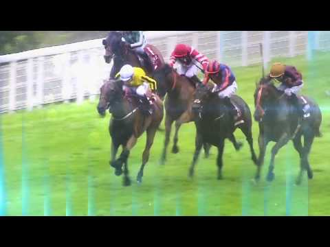 Qatar Goodwood Festival on Racing TV