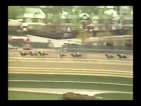 1987 Wood Memorial Stakes  ABC Broadcast