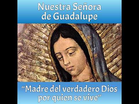 12 de diciembre: Nuestra Señora de Guadalupe.