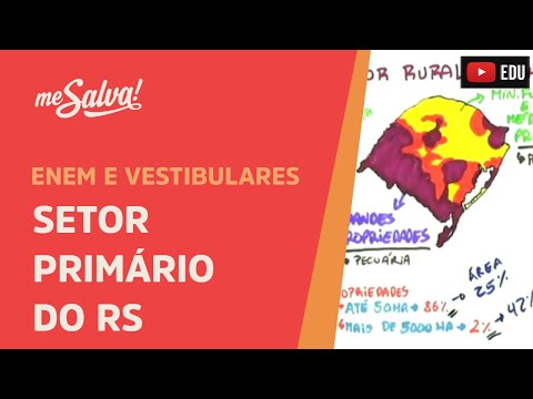 Setor Primário do RS - Geografia UFRGS - Me Salva!
