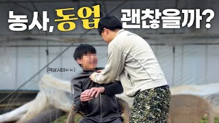 같이 농사질 동업자를 구했습니다...