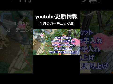 印象的な庭を作る、急成長するつる性の顕花植物 12 選  庭園