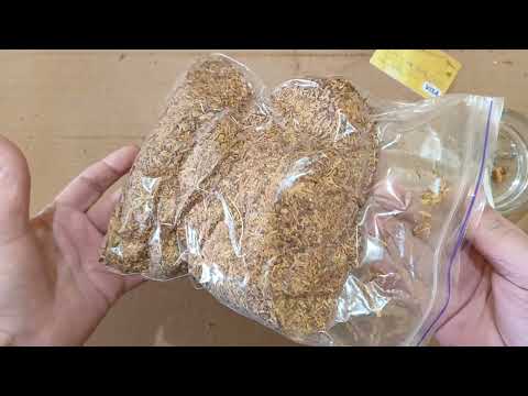 -Табак Вирджиния Light (импорт) и Вирджиния Голд (Индонезия) обзор 2025