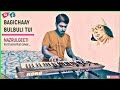 Bagichay bulbuli tui | Nazrul geeti | #instrumental #cover @SOUNDOFKEY