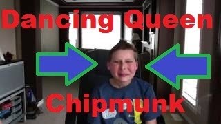 Dancing Queen Chipmunk