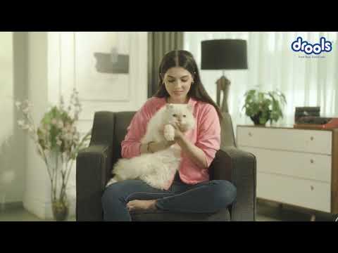 Dixit Voice Artiste - Digital Film Voice Over for Drools India. (Cats)